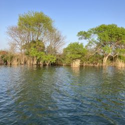 北山田サイト42cm