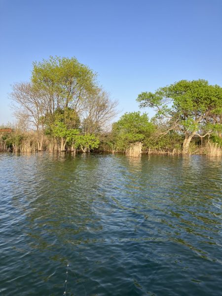 北山田サイト42cm