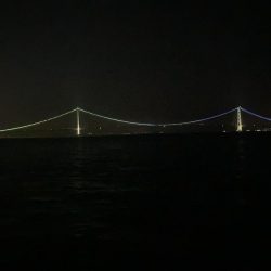 グレにカサゴに寒ボラに