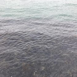 避難訓練と大ボラ