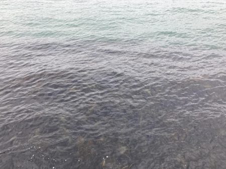 避難訓練と大ボラ