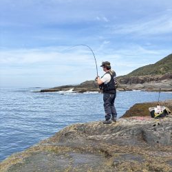 和歌山市江（吉丸渡船）でグレ釣り
