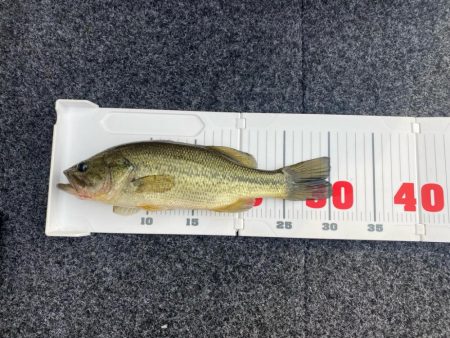 午後からボート釣行!