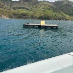 筏シーズン開幕