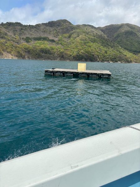 筏シーズン開幕