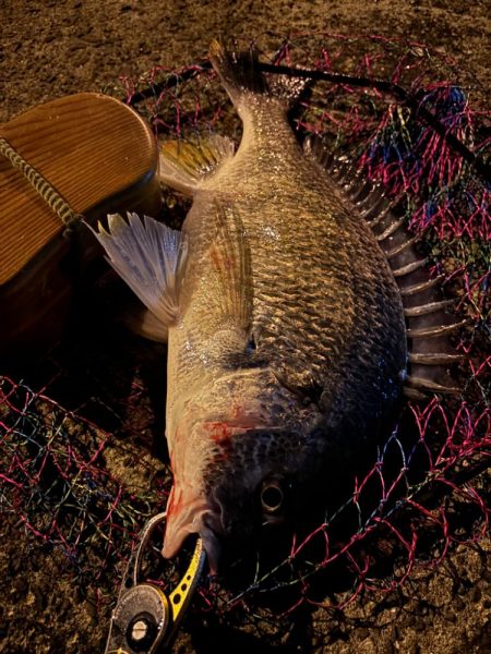 ヘチってきました