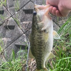 またまた早朝に