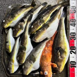 マイボートでノッコミ真鯛狙い!