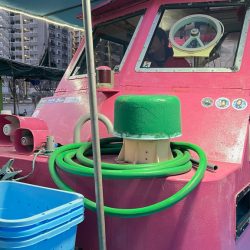 ショウサイフグ/カットウ釣り