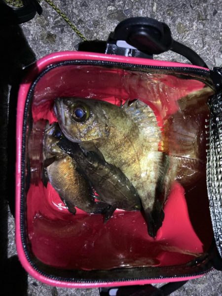 ひたすらキャスト