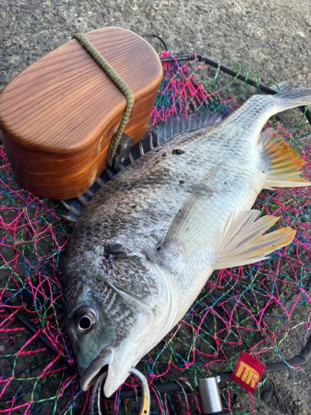 ヘチってきました