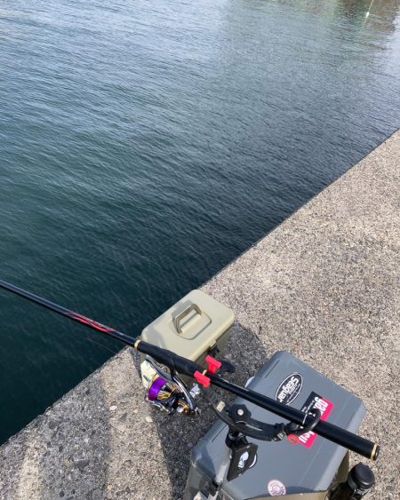 エビ撒きでハネ釣り