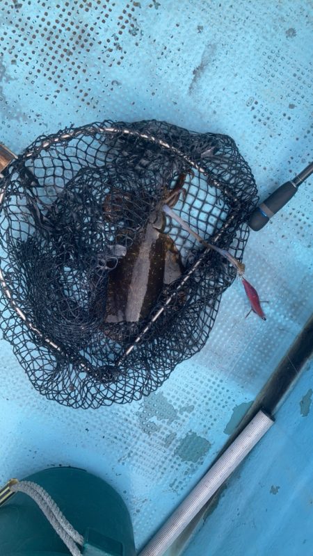 タイラバ＆ティップラン