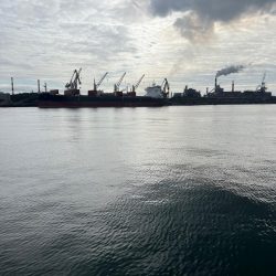 今シーズン初釣り、初釣果!