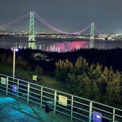 花見🌸カレイ狙い