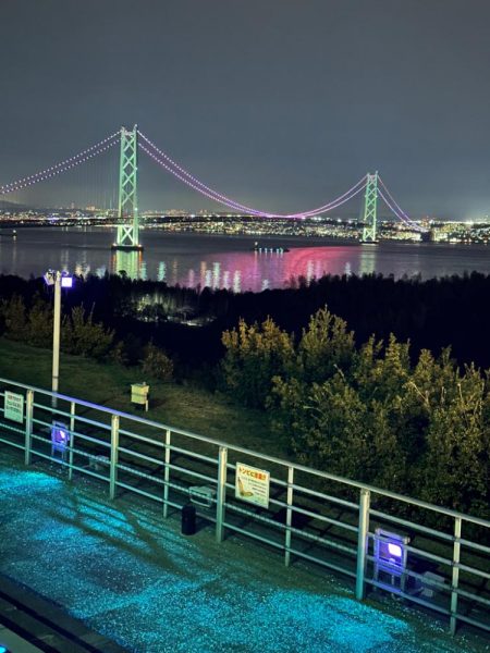 花見🌸カレイ狙い