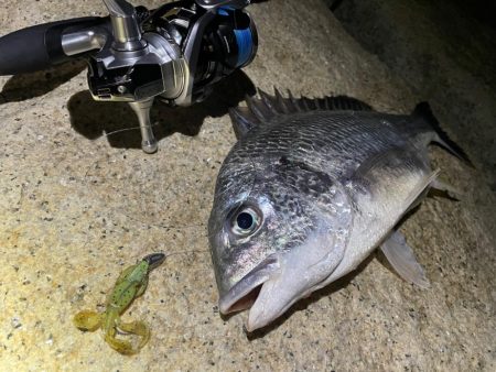 淀川ブリームゲーム