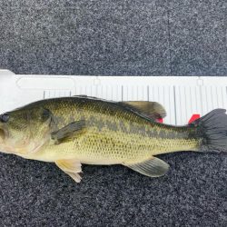 午前中ボート釣行!