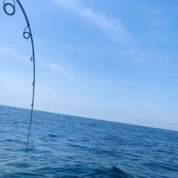 カヤックジギング