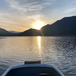 ヒメマス&わかさぎ釣り