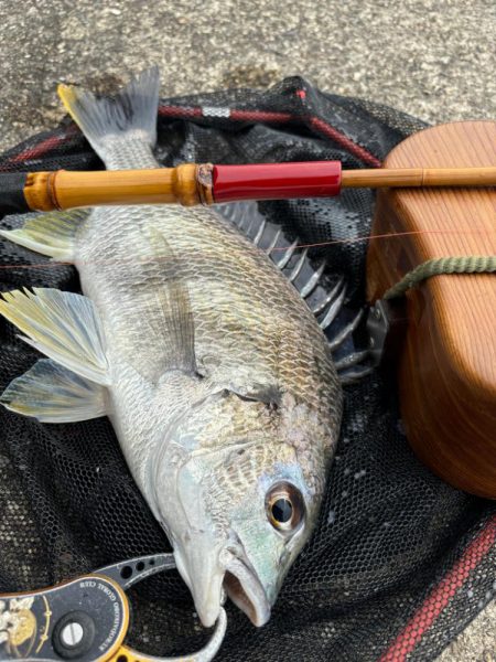 ヘチってきました