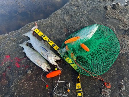 大物は目の前にして逃げられる笑