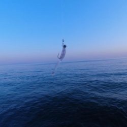 アジメバリング