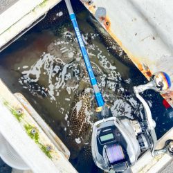 ショウサイフグ/カットウ釣り