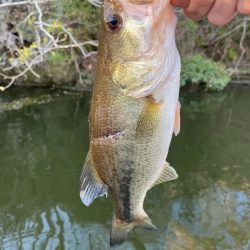 1日ボート釣行！