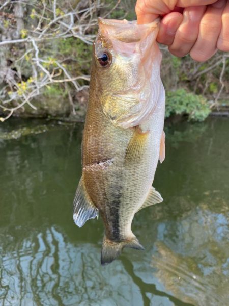1日ボート釣行！