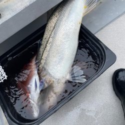 ディープ鯛ラバ