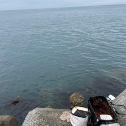 魚津港 フカセ釣り