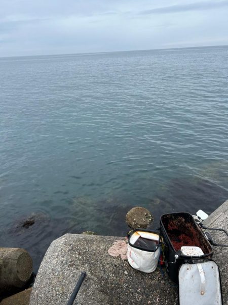 魚津港 フカセ釣り