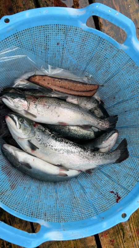 今期最後のサーモンコーナー