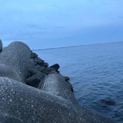 魚津港 フカセ釣り