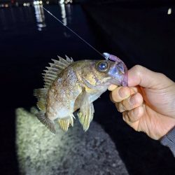 自作ワームテスト