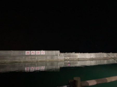 今季最後のヤリイカ