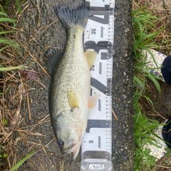 たくさん釣れました！！