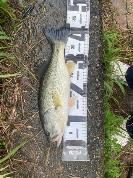 たくさん釣れました！！