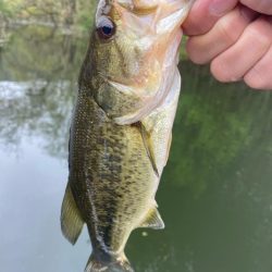 1日ボート釣行！