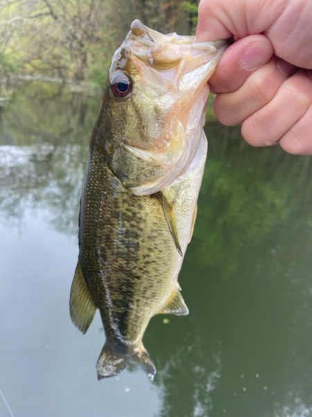 1日ボート釣行！