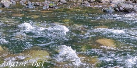 引原川、本流シーズン開幕!