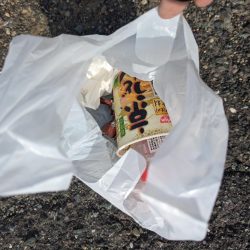 清掃活動：アオリ開幕はいつ