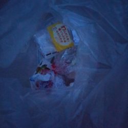 清掃活動：ナイトボートアジング　リベンジ