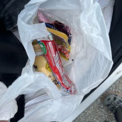 清掃活動：今回の天草ではやっと１匹釣ること…