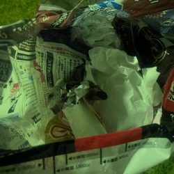 清掃活動：フカセ釣りで想定外の魚が釣れまし…