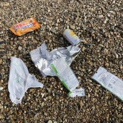 清掃活動：春の伝助アナゴ！