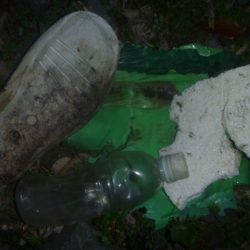 清掃活動：4月のなまず