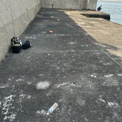 清掃活動：沖堤調査