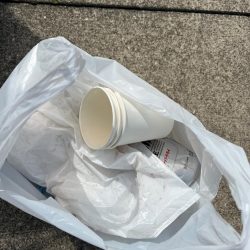 清掃活動：エビ撒きでハネ！活性高いです